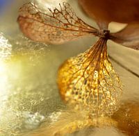 Fragile