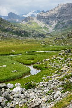 Bergbeek in de alpen