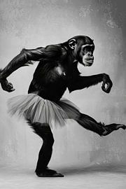 Ballerina monkey by Poster Art Shop