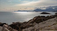 Spektakuläres Licht an der Küste, Lofoten-Archipel, Norwegen, Skandinavien von Mieneke Andeweg-van Rijn Miniaturansicht