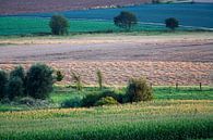 Kleurrijk landbouw landschap in Noord Frankrijk van Peter de Kievith Fotografie thumbnail