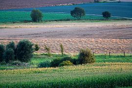 Colourful agricultural landscape in northern France