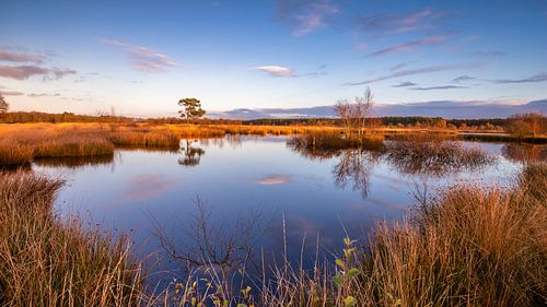 Sonnenuntergang im Nationalpark Dwingelderveld
