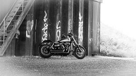 Harley Davidson Motor by Kuifje-fotografie