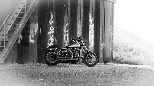 Harley Davidson Motor