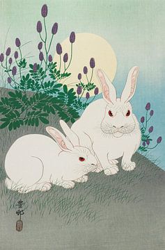 Twee witte konijnen onder een volle maan, Ohara Koson