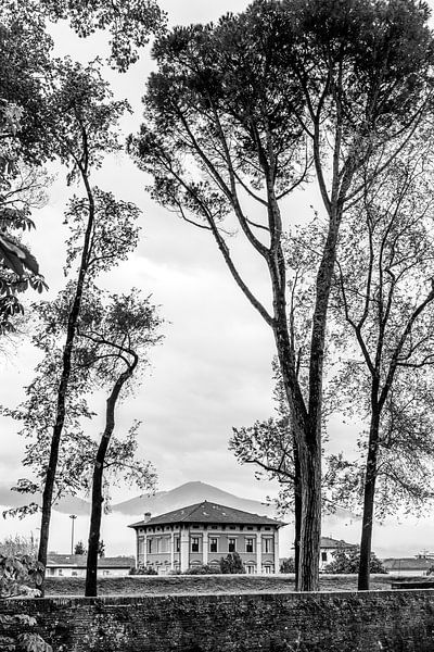 Frühling in Lucca Italien von Photolovers reisfotografie