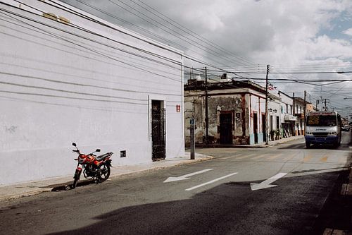 Nature morte à Valladolid