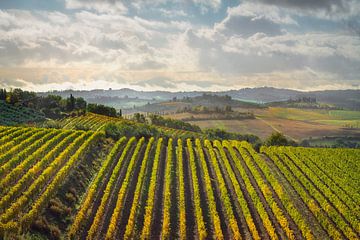 Wijngaarden landschap in Castellina in Chianti, Toscane van Stefano Orazzini