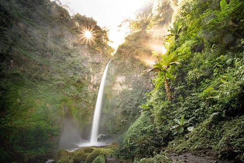 Nature's beauty van Lex Scholten