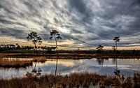 Landschapfoto   Hatertse vennen