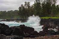 Crashing waves in Maui van Louise Poortvliet thumbnail