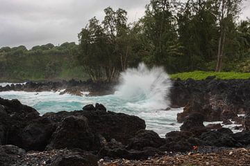 Crashing waves in Maui by Louise Poortvliet