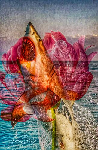 Niet alles is wat het lijkt”Don’t trust Anybody!