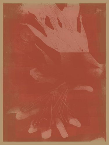 Terra rose et formes organiques beiges.