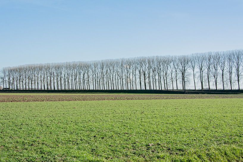 Zuidendijk Dordrecht by Henk Hartzheim