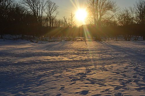 Coucher de soleil dans la neige