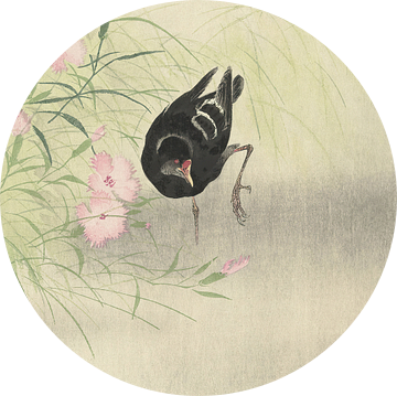 Ohara Koson - Waterhoen bij bloeiende plant (bewerkt)
