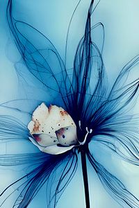 Blau XIII- hauchdünne blaue und weiße Blütenknospe von Lily van Riemsdijk - Art Prints with Color