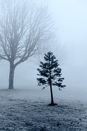 Jouer le jeu sur Jan van der Knaap