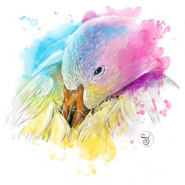 Snow Goose by Sue Art studio