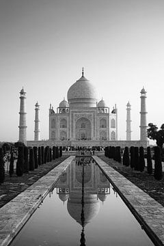 Magical Taj Mahal van Inge van Tilburg