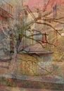 My Paciano by Dorothy Berry-Lound thumbnail