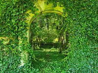Porte mystérieuse dans la forêt