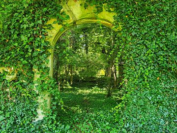 Mysteriöses Tor im Wald