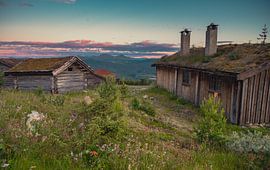 Sunset on the farm (Norway) by Daphne Plaizier