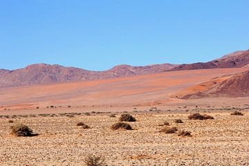 Kleuren van de Namib