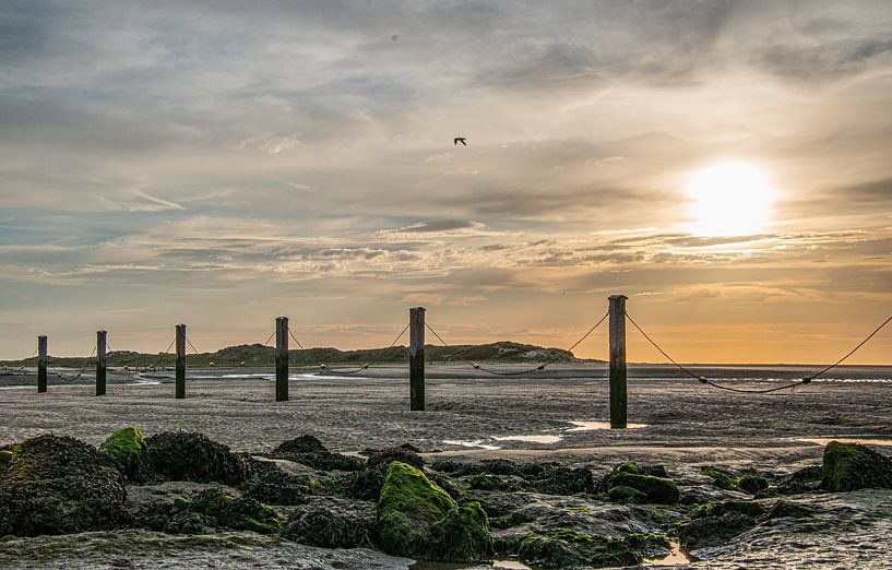 Strand Zeeland von Lies Bakker