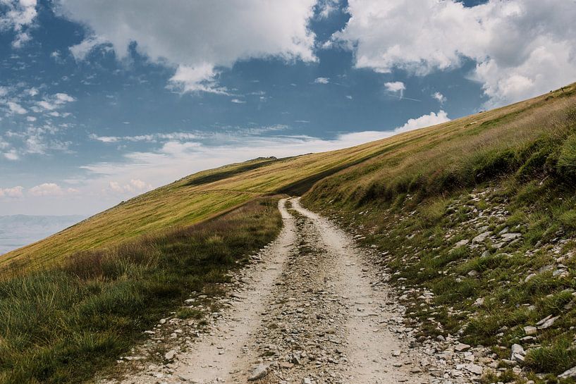 Footpath in the mountains | North Macedonia | Landscape Photography by Melody Drost