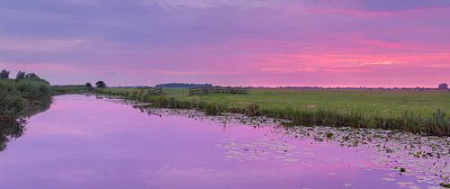 Alblasserwaardse polder