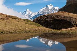 Réflexion sur John Faber