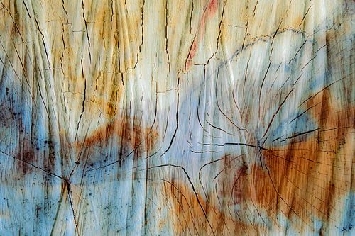 Houtoppervlak abstract