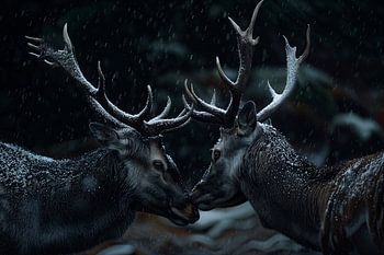 Deux cerfs aux bois enneigés