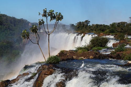 Iguazú Falls van Maurits Bredius