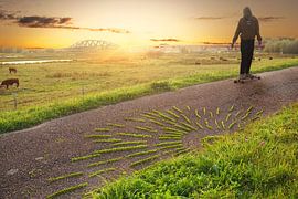 Skatergirl van Mies Heerma