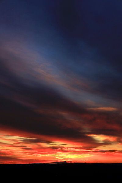 Black Forest Romanticism by Thomas Jäger