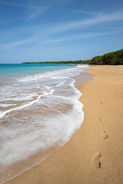 Plage de Clugny, Strand in der Karibik Guadeloupe von Fotos by Jan Wehnert