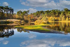 Staalbergven Autumn