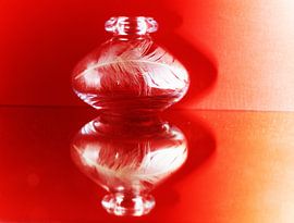 message in a bottle by joyce kool