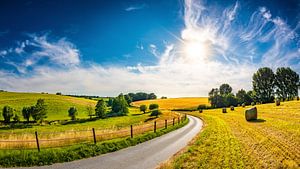 Sommerlandschaft