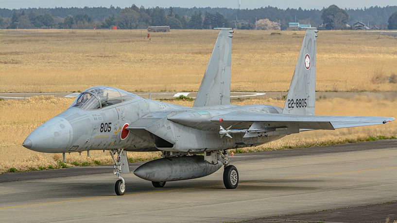 Japanese McDonnell Douglas F-15J Eagle. by Jaap van den Berg