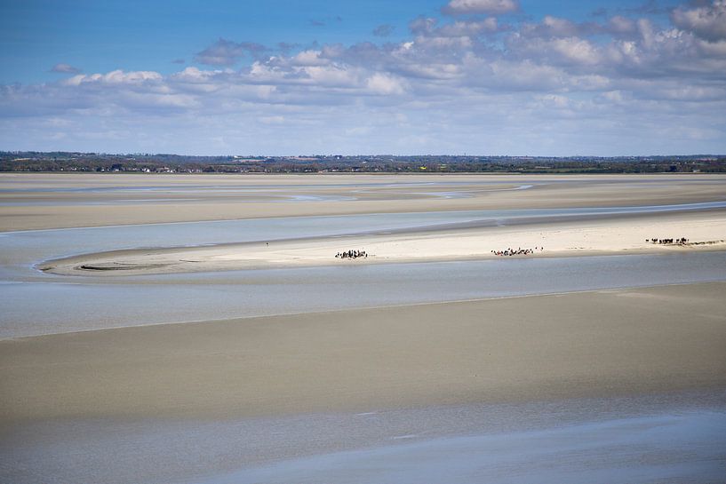 Wadlopen van Petra Brouwer