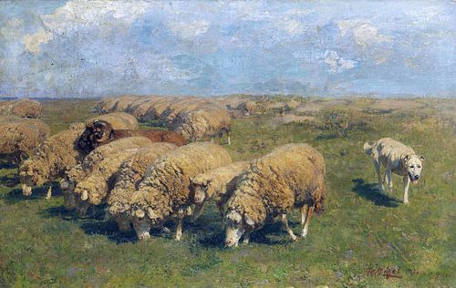 Kudde schapen met hoedende hond in de wei, HEINRICH VON ZÜGEL, Ca. 1911