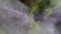 Bewogen boeket van Ankie Kooi thumbnail