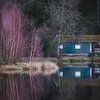 Reflectie van turquoise houten huisje met paarse struik aan het water 1 | Vogezen, Frankrijk van Merlijn Arina Photography