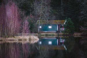 Spiegelung eines türkisfarbenen Holzhauses mit lila Busch am Wasser 1 | Vogesen, Frankreich von Merlijn Arina Photography